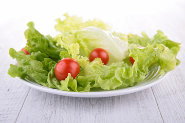 plate of lettuce and tomato