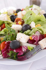 vegetable salad with feta