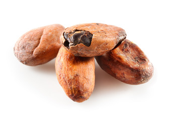 Cocoa beans isolated on white backrgound