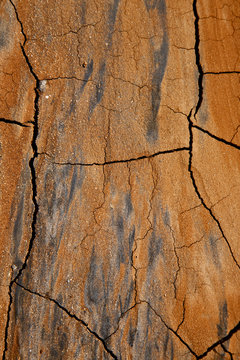 spain texture of a broke dry sand