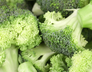 Close up of fresh broccoli.