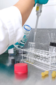 Picture of a person working in a lab