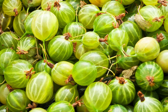 Gooseberries