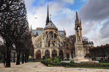 Fototapeta na wymiar cathédrale de Notre-Dame