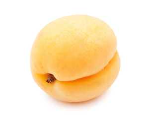 Apricot