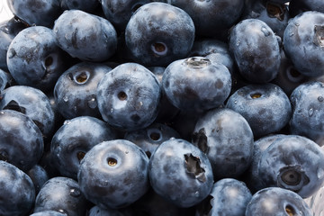 Blueberries