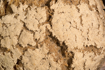 Pane di grano