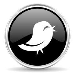 twitter icon