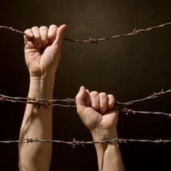 hand behind barbed wire