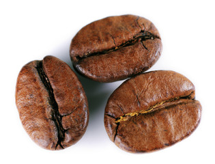 A close-up picture of coffee beans on a white background