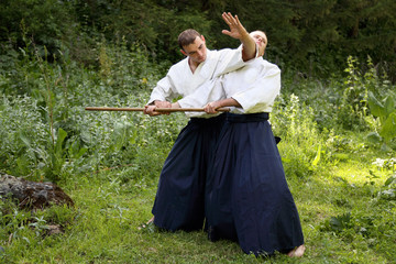 Training  martial art  Aikido.