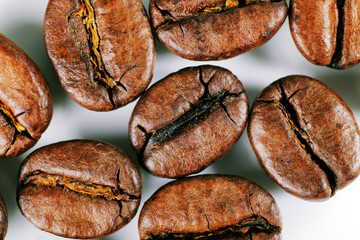 A close-up picture of coffee beans on a white background