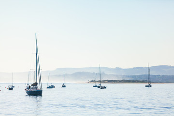 Fototapeta premium Several yachts with one in front, hills behind
