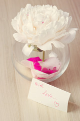 bunch of white peonies in vase