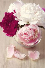 Peony flower in a vase