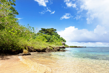 Tropical beach with trees in background