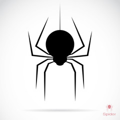 Vector image of an spider