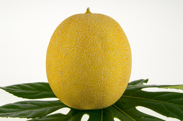 Żółty melon