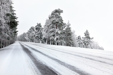 Straight winter road with tress on both sides