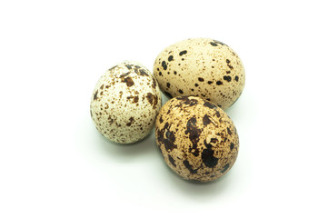 Obraz premium quail eggs