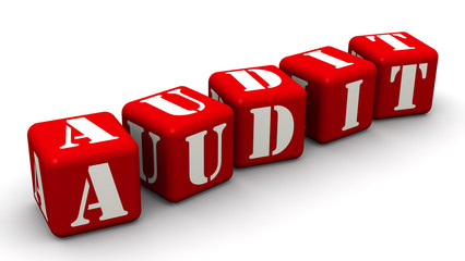 Audit