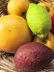 fruits