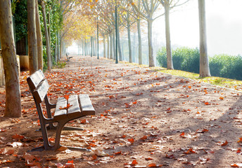 Parque en Otoño.Detalle de banco y hojas en tonos naranja