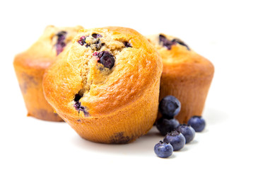 Muffins with blueberry on white background