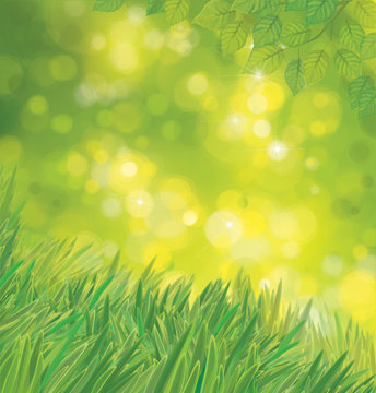 Vector green leaves  and grass on sunshine background.