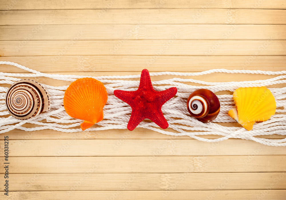 Wall mural seashells.