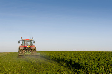 Fototapeta premium Tracteur fauchant du colza