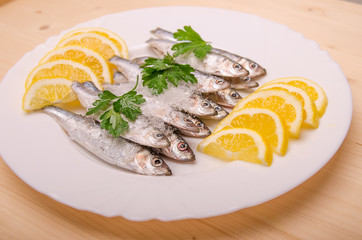 Fresh smelt on ice