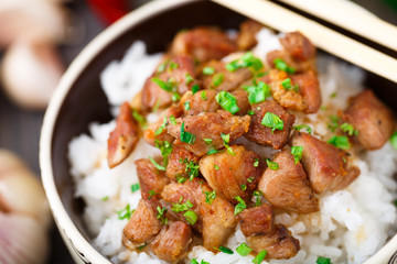 Bowl of rice with meat
