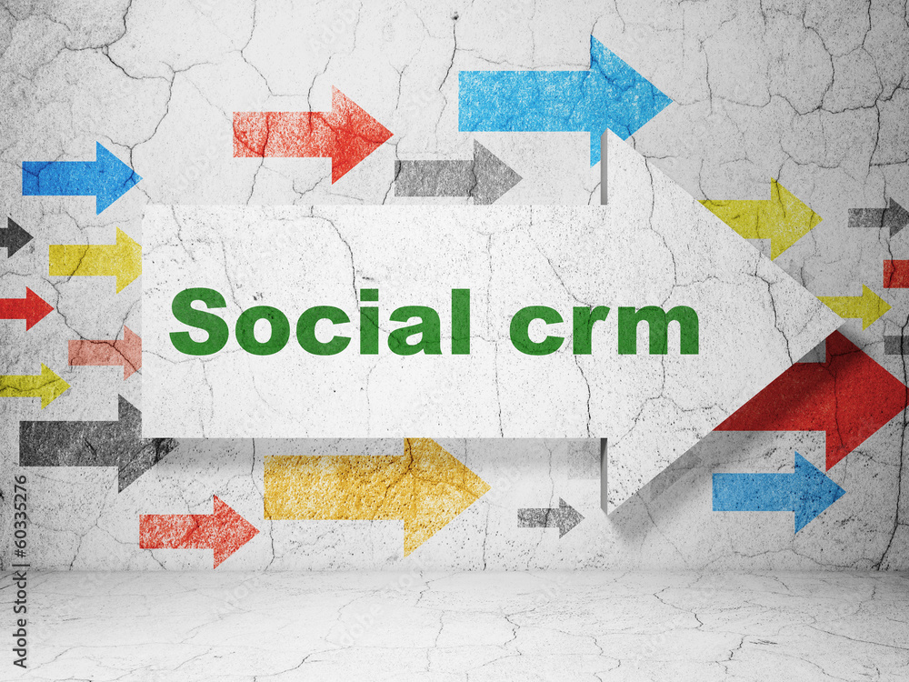 Wall mural finance concept: arrow with social crm on grunge wall background