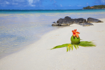 Coconut