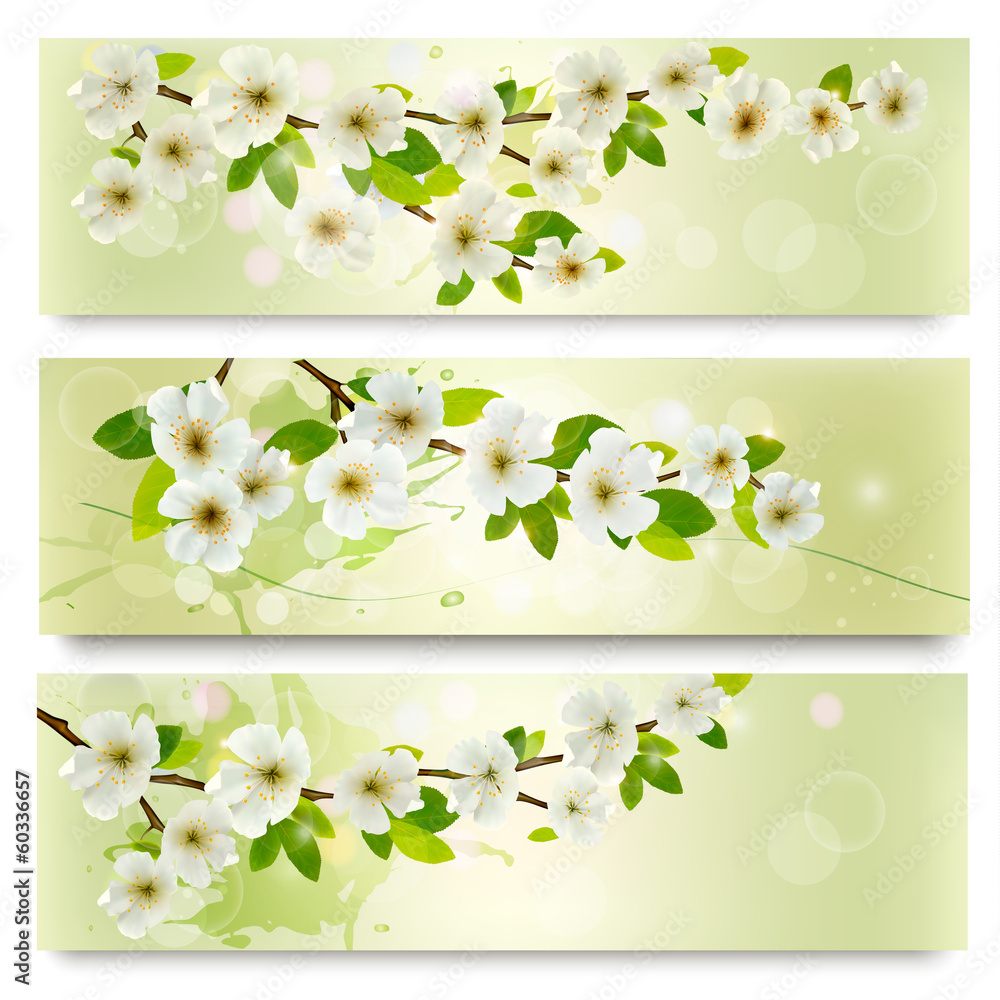 Poster three spring banners with blossoming tree brunch with spring flo