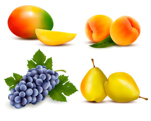 Big group of different fruit. Vector.