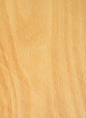 Wood background