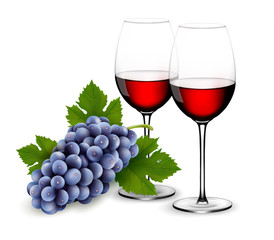 Two glasses of red wine with grapes. Vector.