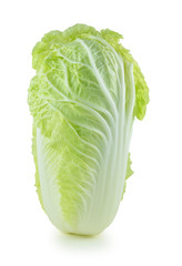 Fototapeta premium fresh chinese cabbage