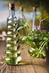 Olive Oil 