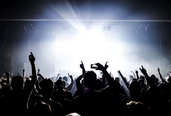 cheering crowd at concert