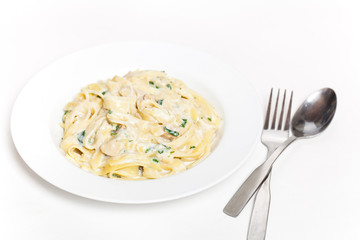 Chicken fettuccine alfredo with spinach