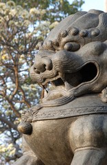 chinese lion