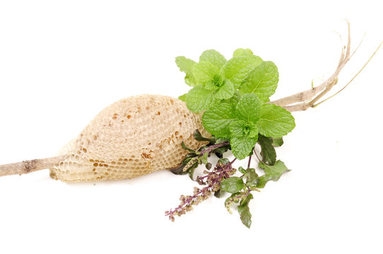 Basil (tulsi), Mint And Honey In Group On Isolated White