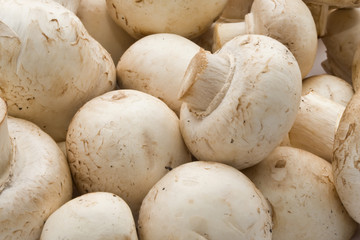 Champignon mushrooms