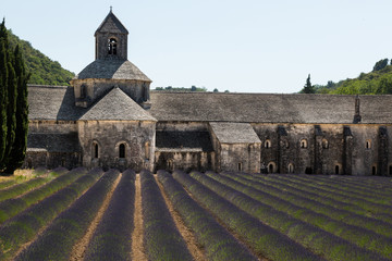 Landmark and iconic picture of Provence, France