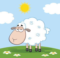 Cute White Sheep On A Meadow