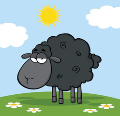 Cute Black Sheep On A Meadow