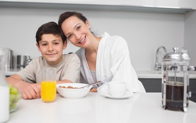 Portrait of a smiling mother with son in kitchen
